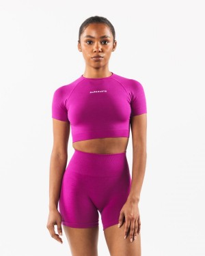 Alphalete Amplify SS Crop Naisten Paidat Candy Crush | GAOCK-5348