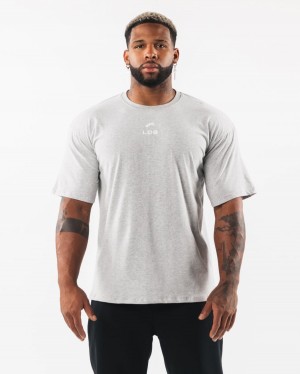 Alphalete Brushed Crest Tee Miesten Paidat Harmaat | TVARI-2907