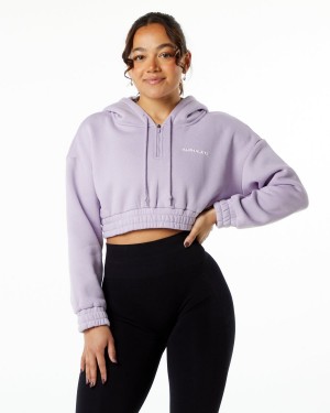 Alphalete Classic Capital Crop Hoodie Naisten Huppari Misty Lilac | UAZHB-6397