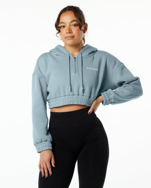 Alphalete Classic Capital Crop Hoodie Naisten Huppari Sininen | SRMUW-8367