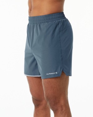 Alphalete Core Stride Lyhyt 5” Miesten Shortsit Sininen | RXOUF-6158