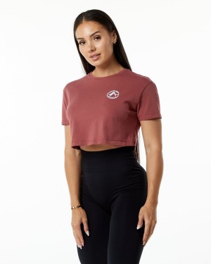 Alphalete Dynasty Crop Naisten Paidat Gingerbread | XZMTG-6835