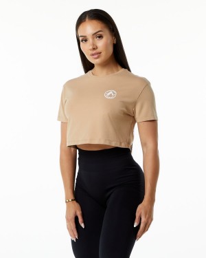 Alphalete Dynasty Crop Naisten Paidat Taupe | SMCJF-1842