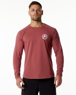 Alphalete Dynasty LS Tee Miesten Paidat Gingerbread | NOPWB-1674