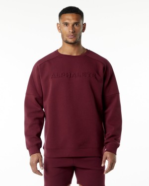 Alphalete ELMTS Crewneck Villa Miesten Takit Viininpunainen | ULWBD-4751