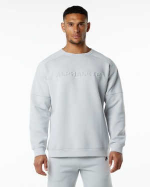 Alphalete ELMTS Crewneck Villa Miesten Takit Harmaat | FAHYP-4806