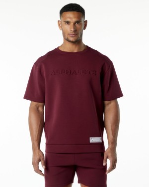 Alphalete ELMTS Half Sleeve Pullover Miesten Takit Viininpunainen | PDHKY-5214