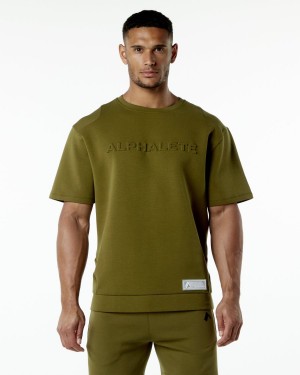 Alphalete ELMTS Half Sleeve Pullover Miesten Takit Moss | TEYDQ-3908