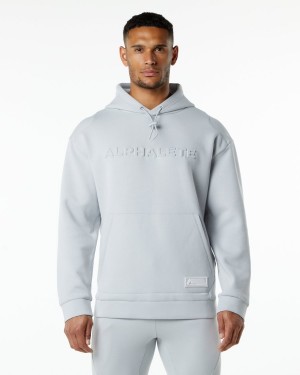 Alphalete ELMTS Hoodie Miesten Huppari Harmaat | OGTRD-0974