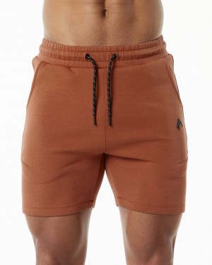 Alphalete ELMTS Urheilulliset Lyhyt 6" Miesten Shortsit Brick | LJXSA-7841