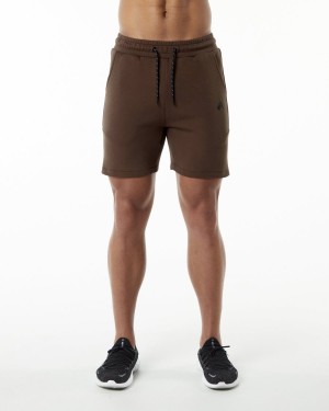 Alphalete ELMTS Urheilulliset Lyhyt 6" Miesten Shortsit Ruskea | WIDFA-7635