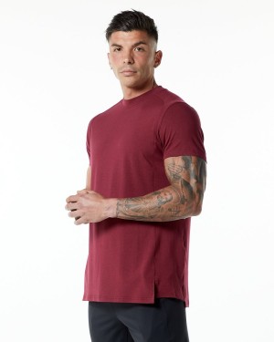 Alphalete Evo Tee Miesten Paidat Punainen | IHUCE-7586