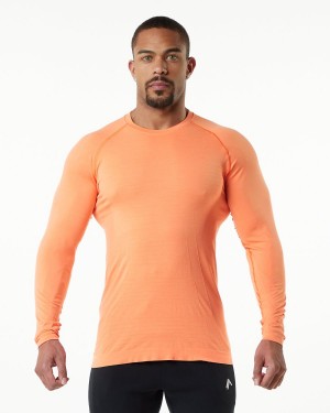 Alphalete Hero Long Sleeve Tee Miesten Paidat Faded Day Tripper | IJHZX-7513