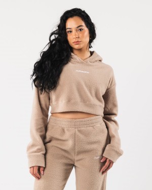 Alphalete King Crop Hoodie Naisten Huppari Linen | PTUKC-8253