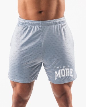 Alphalete LDB More Mesh Lyhyt 6” Miesten Shortsit Sininen | YWFCN-3905