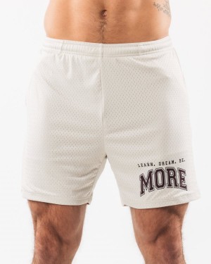 Alphalete LDB More Mesh Lyhyt 6" Miesten Shortsit Sea Shell | BAKHT-7598