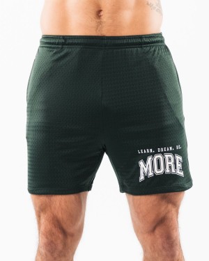 Alphalete LDB More Mesh Lyhyt 6" Miesten Shortsit Evergreen | BRVSX-4823