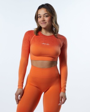 Alphalete Ombre Amplify LS Crop Naisten Pitkähihainen Strawberry | VDUNF-1078