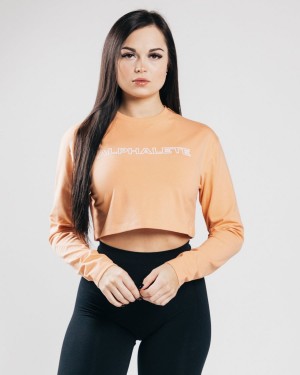 Alphalete Outlined Long Sleeve Crop Naisten Pitkähihainen Oranssi | DWPLJ-7051