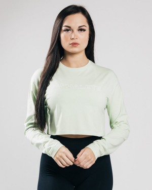 Alphalete Outlined Long Sleeve Crop Naisten Pitkähihainen Frozen Spring | WOPHV-0758