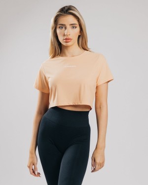 Alphalete Signature Mesh Crop Naisten Paidat Oranssi | VNICW-5143