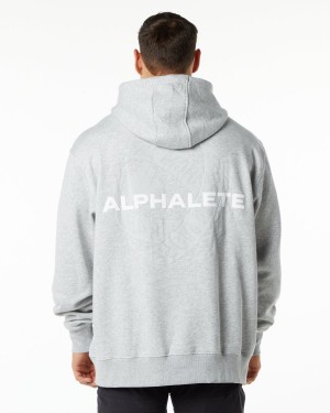 Alphalete Unity Hoodie Miesten Huppari Harmaat | RJNCP-4086