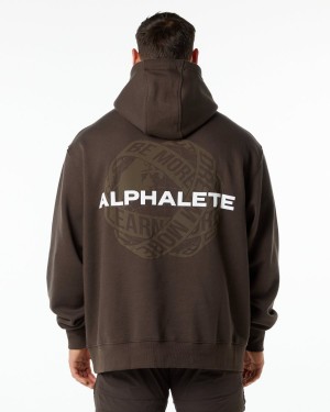 Alphalete Unity Hoodie Miesten Huppari Ruskea | GSOIA-0869