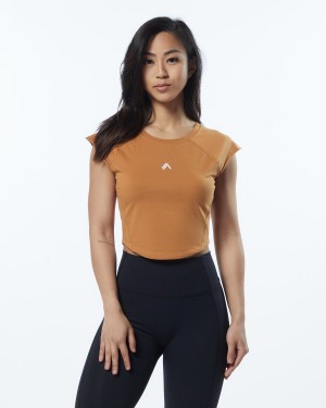 Alphalete Velocity Crop Tee Naisten Paidat Chestnut | LHTNA-6903