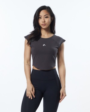 Alphalete Velocity Crop Tee Naisten Paidat Harmaat | SDGFW-8365