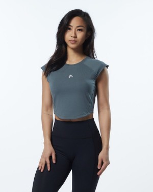 Alphalete Velocity Crop Tee Naisten Paidat Harmaat | UWIYG-1650