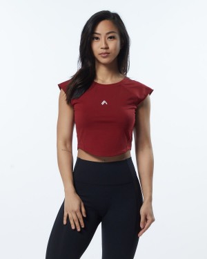 Alphalete Velocity Crop Tee Naisten Paidat Punainen | PNKVM-8132