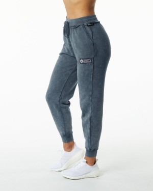 Alphalete Very Terry Jogger Naisten Juoksuvaatteet Sininen | HBCFW-6573