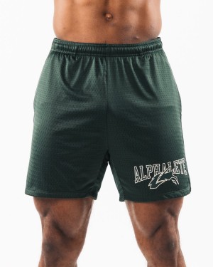 Alphalete Wolf Head Mesh Lyhyt 6" Miesten Shortsit Evergreen | VMUSP-4156