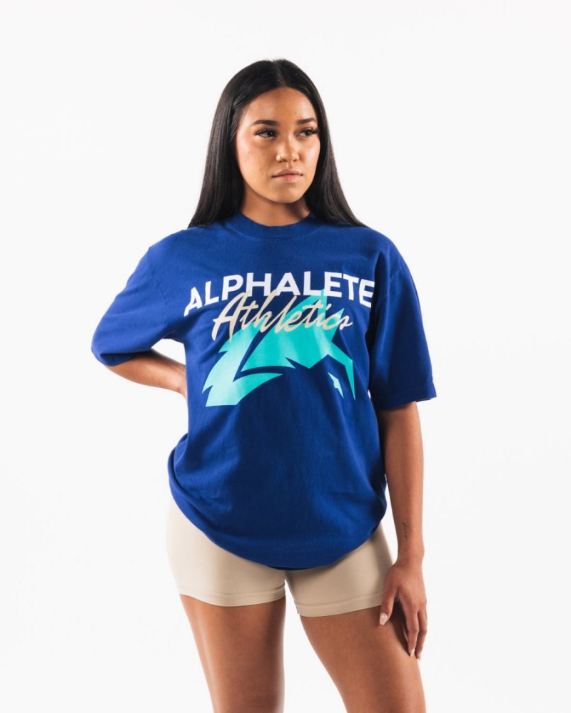 Alphalete AA Beach Tee Miesten Paidat Kuninkaallinen Sininen Sininen | FHVYI-1256