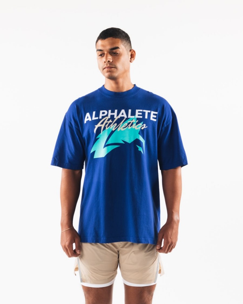 Alphalete AA Beach Tee Miesten Paidat Kuninkaallinen Sininen Sininen | FHVYI-1256