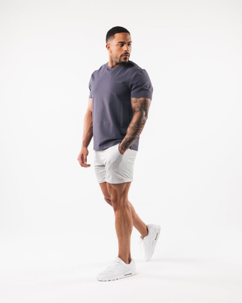 Alphalete AA Mesh Lyhyt 6” Miesten Shortsit Harmaat | JBYCK-1047