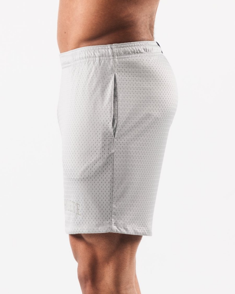 Alphalete AA Mesh Lyhyt 6” Miesten Shortsit Harmaat | JBYCK-1047