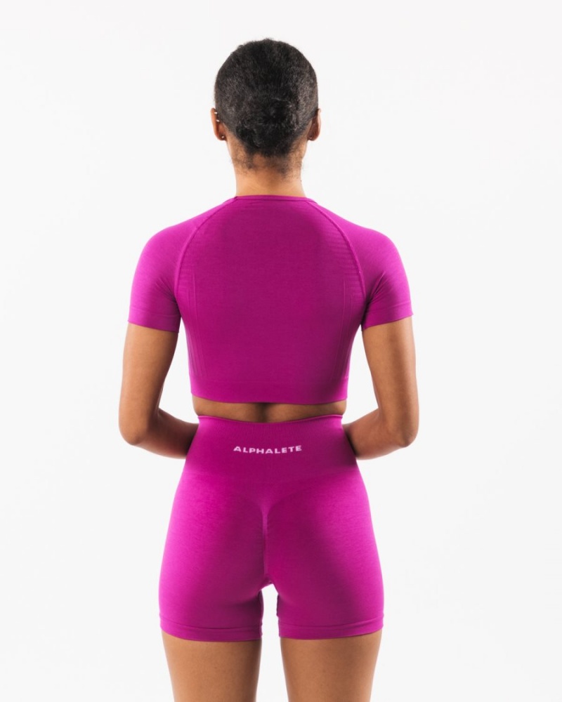 Alphalete Amplify SS Crop Naisten Paidat Candy Crush | GAOCK-5348