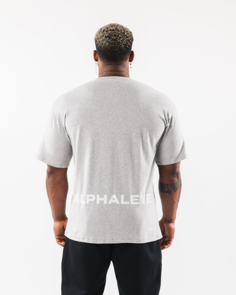 Alphalete Brushed Crest Tee Miesten Paidat Harmaat | TVARI-2907