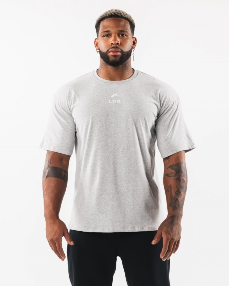 Alphalete Brushed Crest Tee Miesten Paidat Harmaat | TVARI-2907