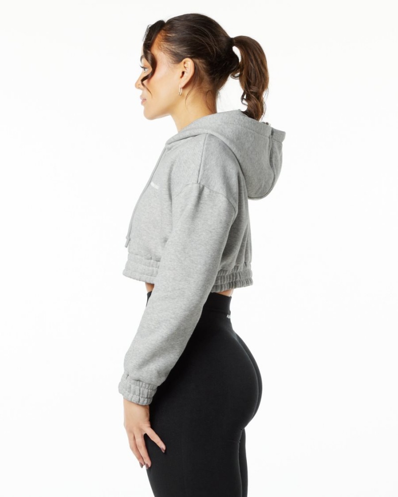 Alphalete Classic Capital Crop Hoodie Naisten Huppari Harmaat | AZRWN-7819