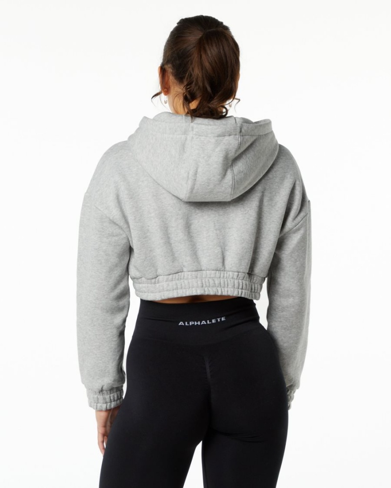 Alphalete Classic Capital Crop Hoodie Naisten Huppari Harmaat | AZRWN-7819