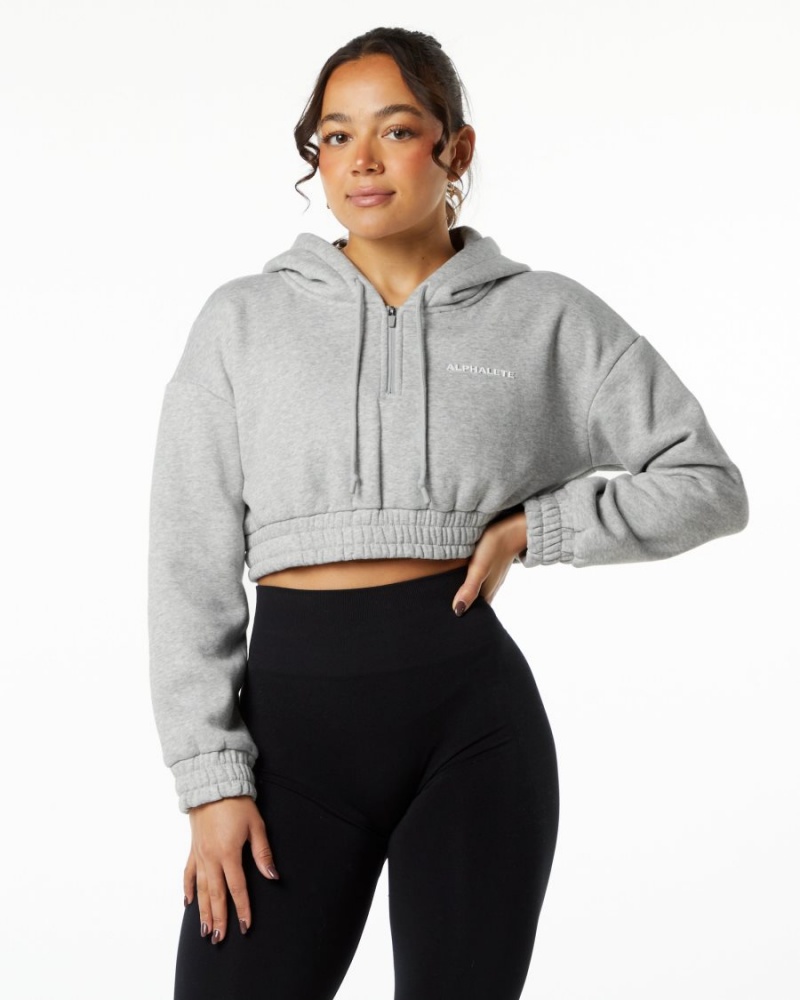 Alphalete Classic Capital Crop Hoodie Naisten Huppari Harmaat | AZRWN-7819