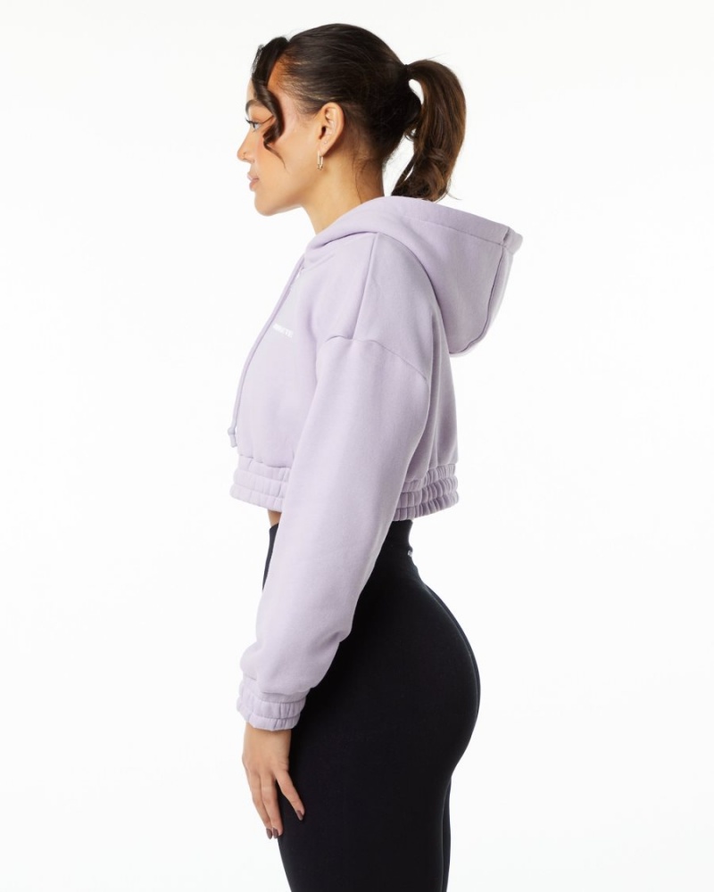 Alphalete Classic Capital Crop Hoodie Naisten Huppari Misty Lilac | UAZHB-6397