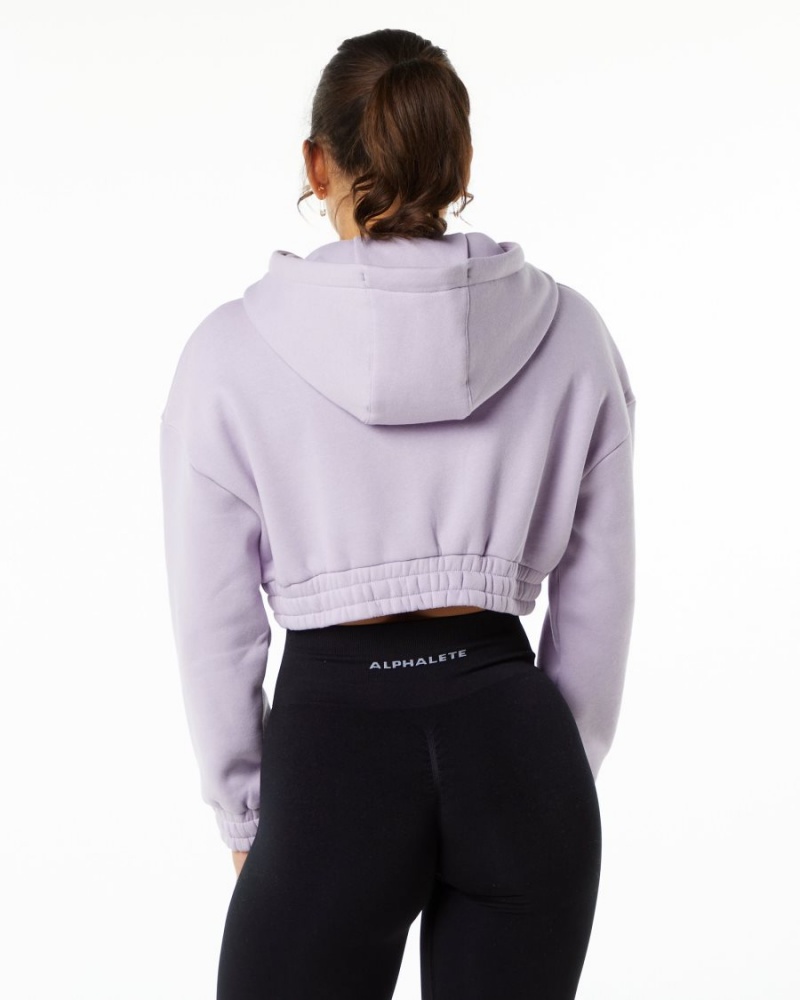 Alphalete Classic Capital Crop Hoodie Naisten Huppari Misty Lilac | UAZHB-6397