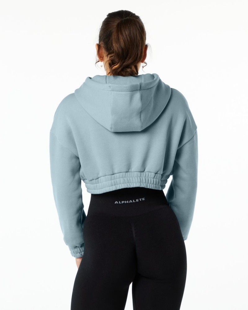 Alphalete Classic Capital Crop Hoodie Naisten Huppari Sininen | SRMUW-8367