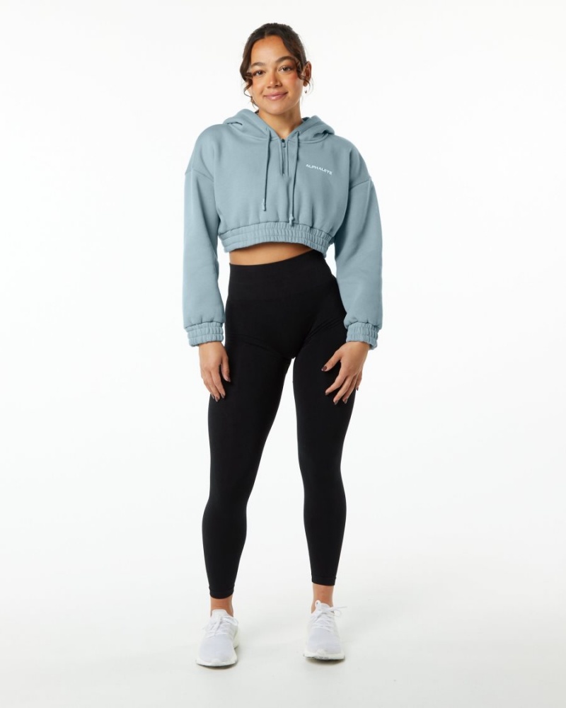 Alphalete Classic Capital Crop Hoodie Naisten Huppari Sininen | SRMUW-8367