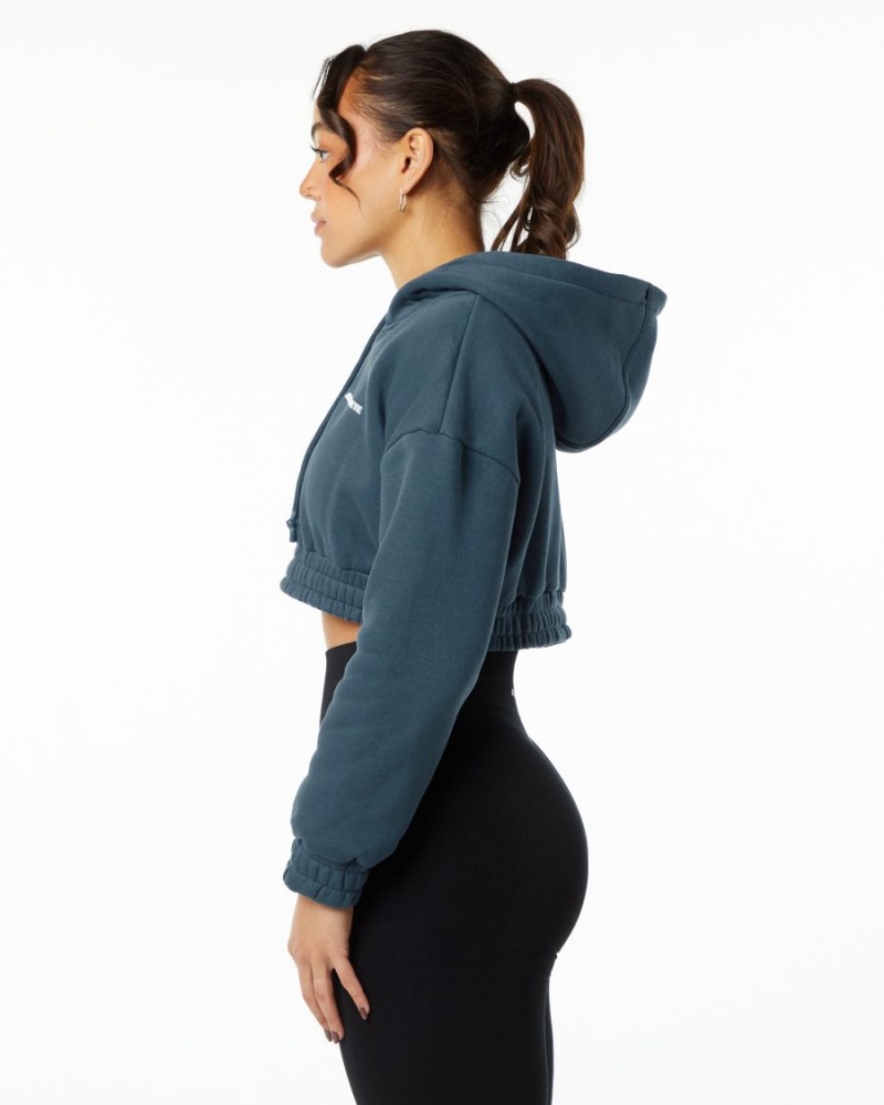 Alphalete Classic Capital Crop Hoodie Naisten Huppari Sininen | GPFCQ-2769