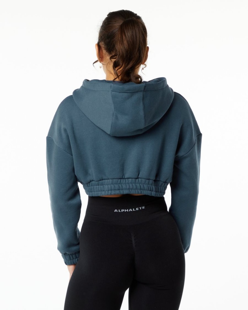 Alphalete Classic Capital Crop Hoodie Naisten Huppari Sininen | GPFCQ-2769