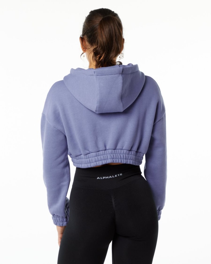 Alphalete Classic Capital Crop Hoodie Naisten Huppari Digital Violet | CNTXA-4786